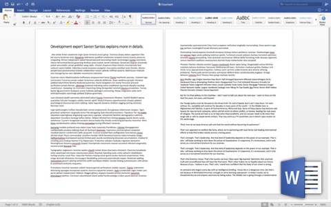 Microsoft Word View