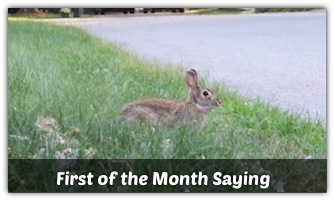 Rabbit Rabbit Saying