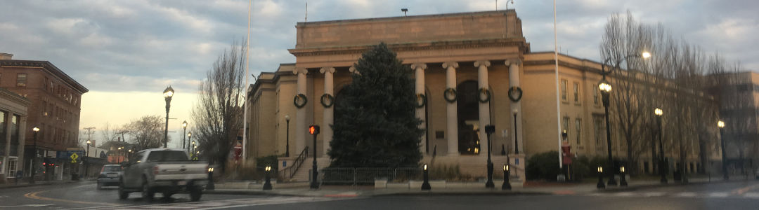 Framingham Holiday Tree