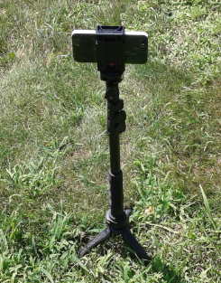 Monopod Grass Photo