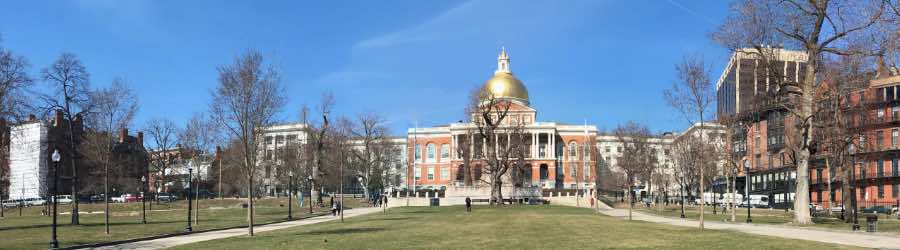 State House Trees