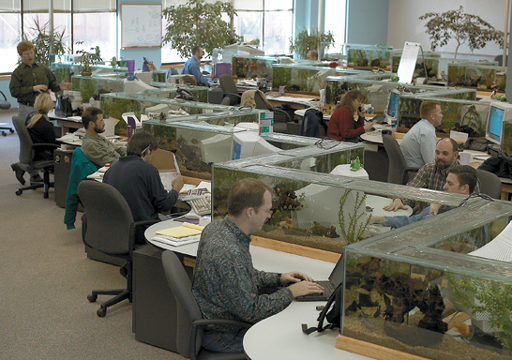 aquarium_cubicles