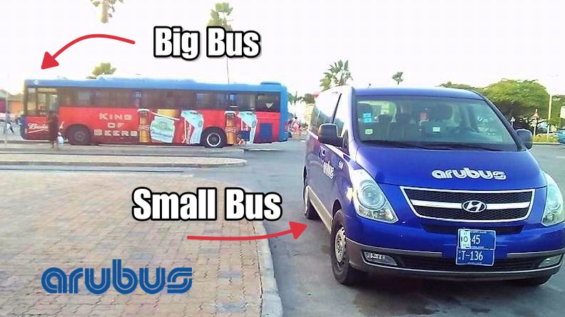 Aru Bus Type Buses