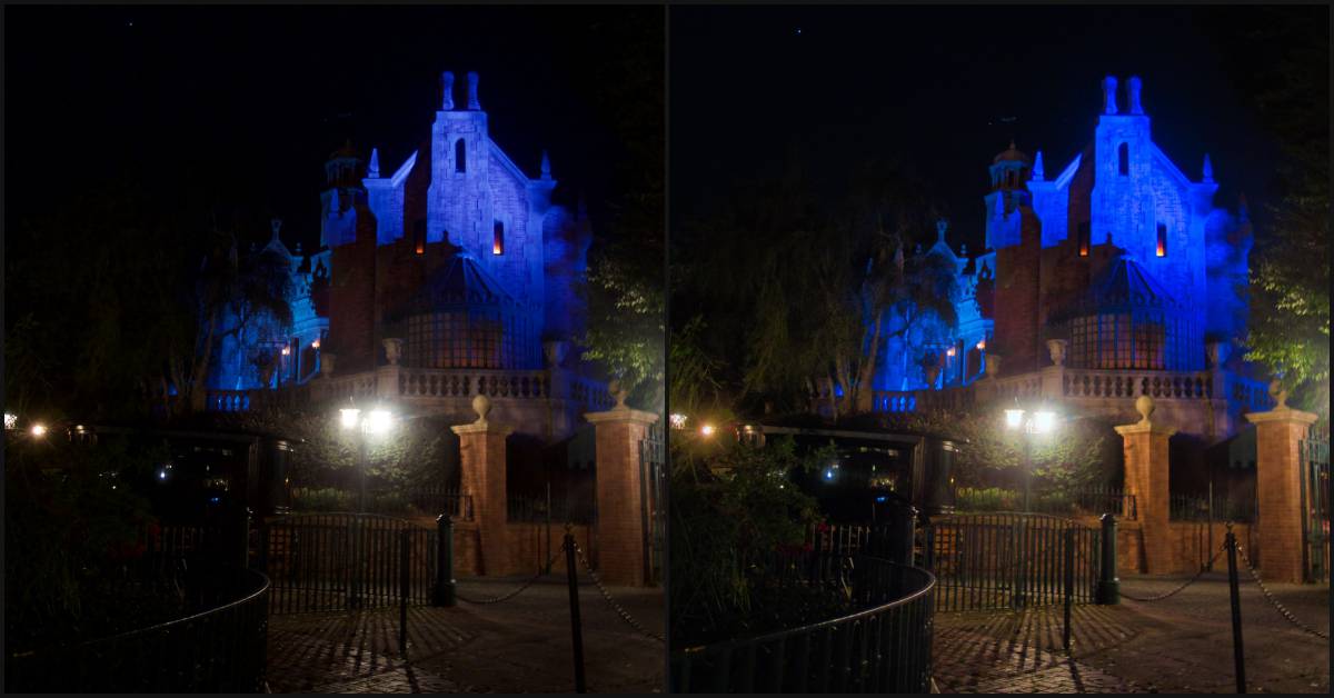 Haunted Mansion Photolemur