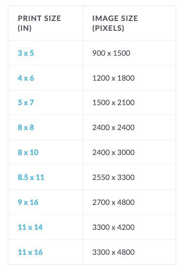 Pic Monkey Specs