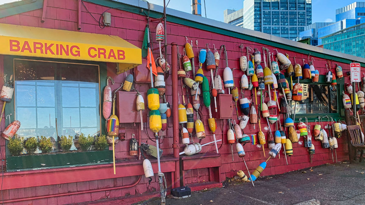 Barking Crab Photo