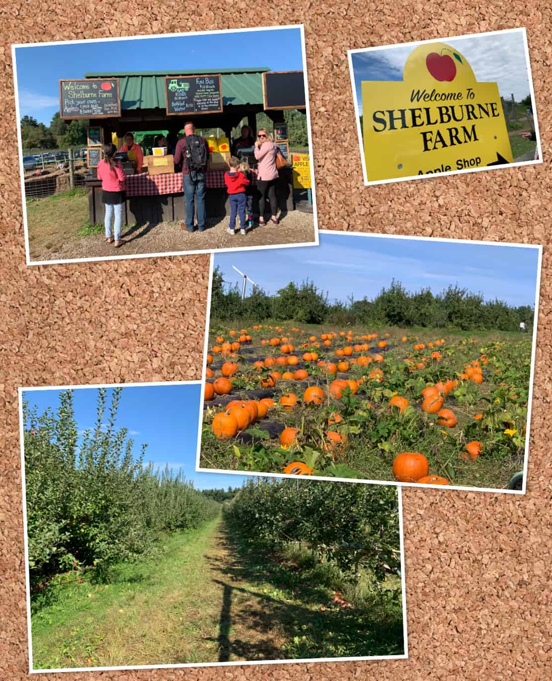 Shelburne Farm Mobile