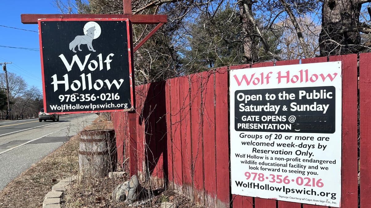 Wolf Hollow Sign