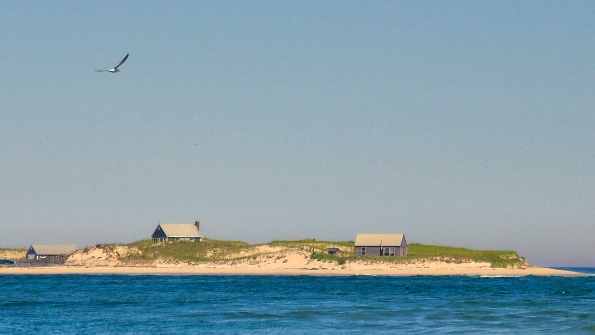 Monomoy Island