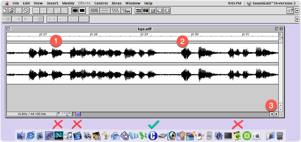 Sound Edit Snagit