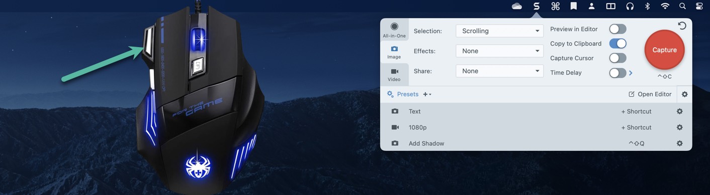 Snagit Button