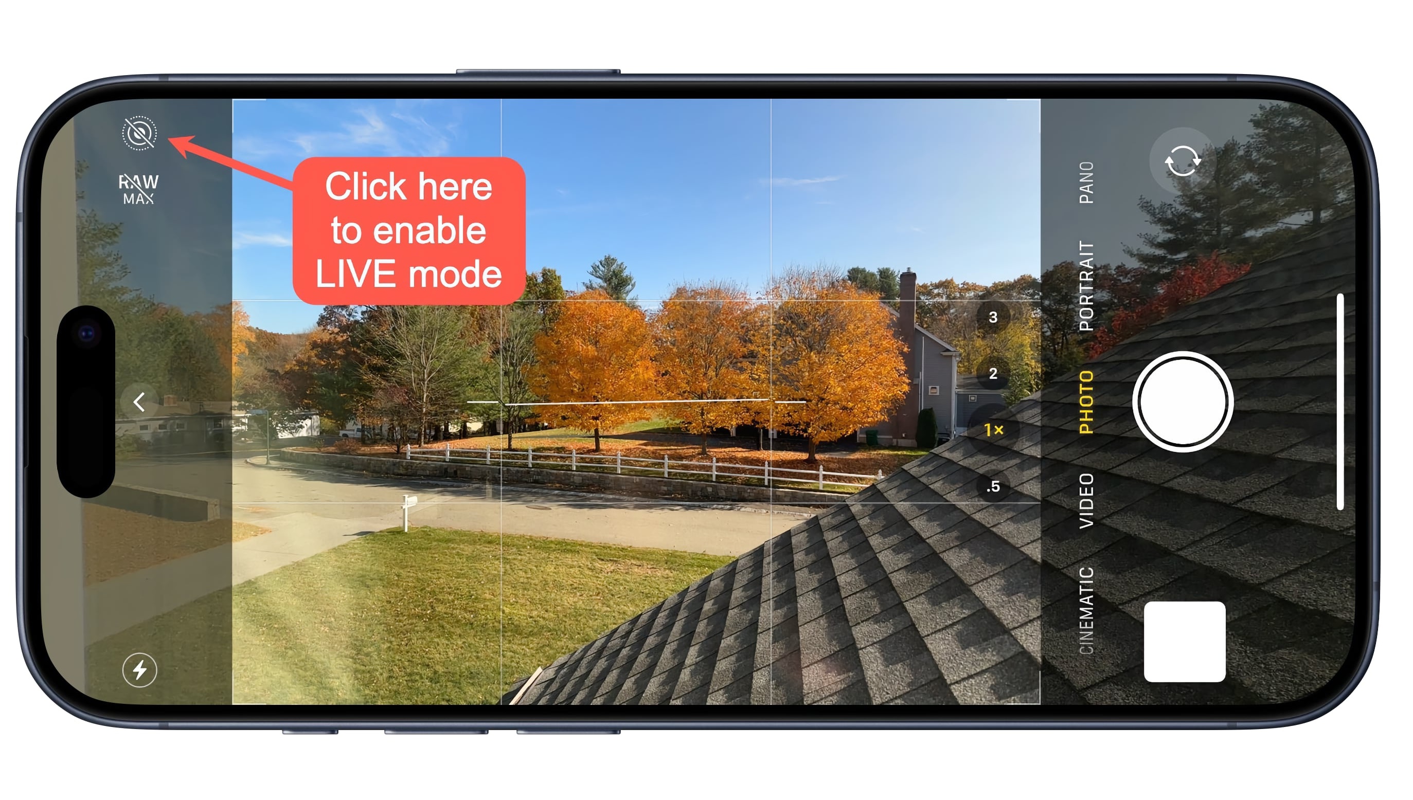 i Phone15 Live View